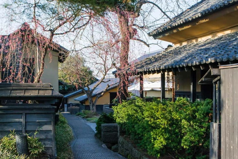 Tokyo: Nagano Snow Monkeys and Zenkoji Tour with Temples - Price and value for $510 per group