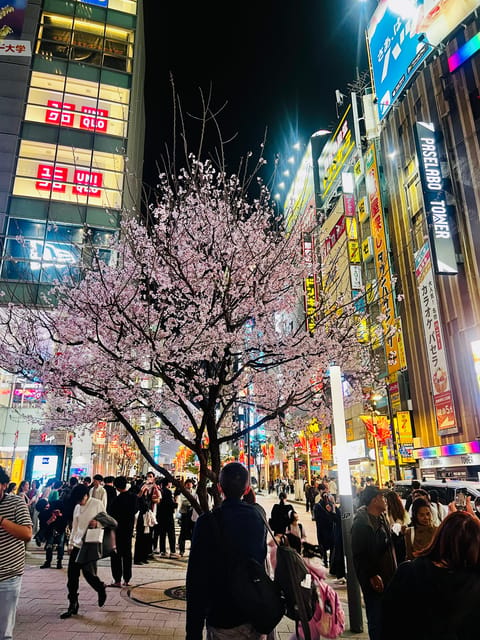 Tokyo Night Drive Wangan Expressway and Daikoku PA - The planned break and shopping time in Tokyo