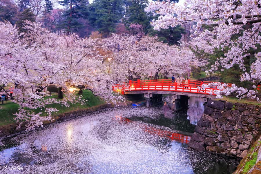 Tokyo: Nikko Day Tour Shrines, Lake Chūzenji & Kegon Falls - Key points before you go