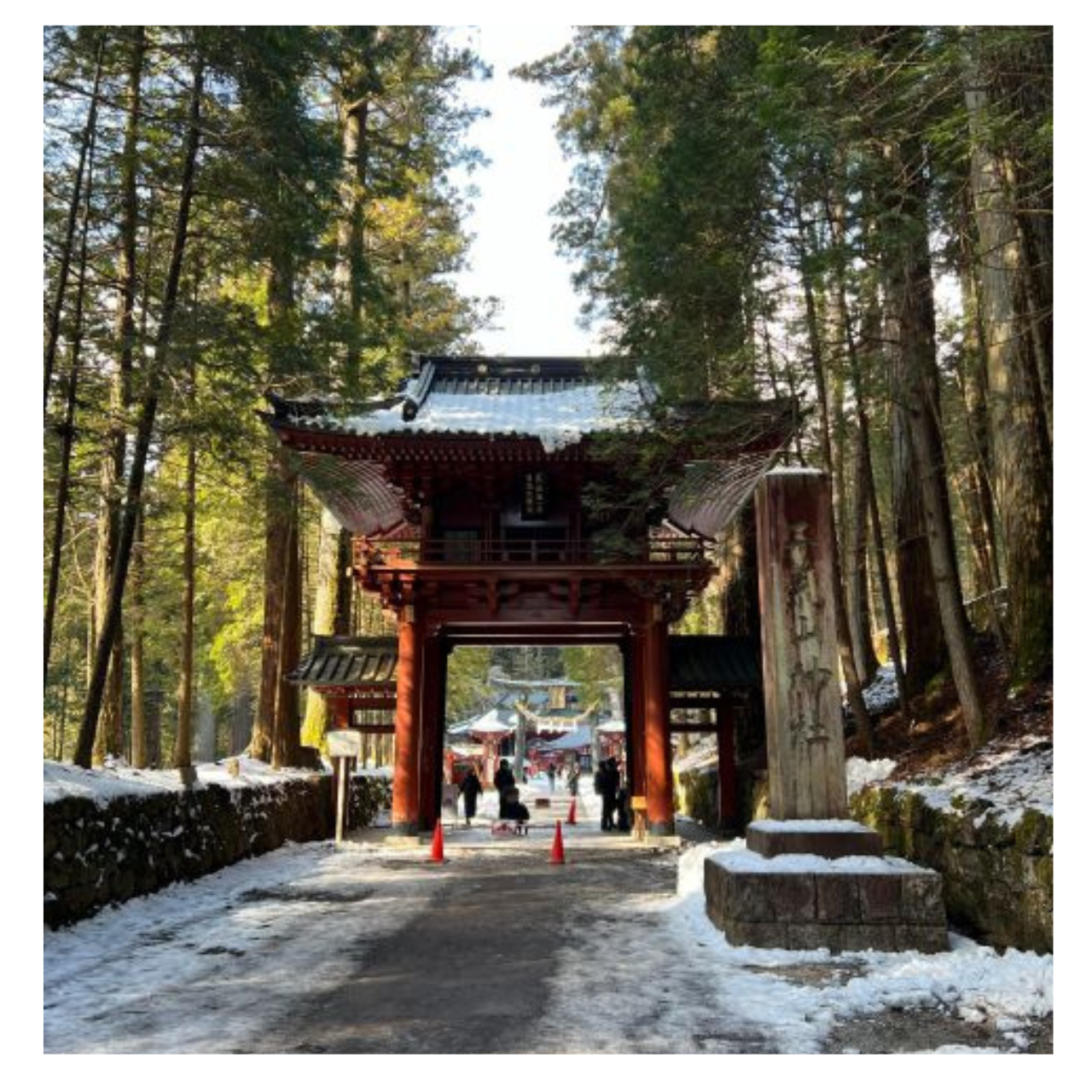 Tokyo: Nikko Day Tour Shrines, Lake Chūzenji & Kegon Falls - Who should book this Nikko day trip