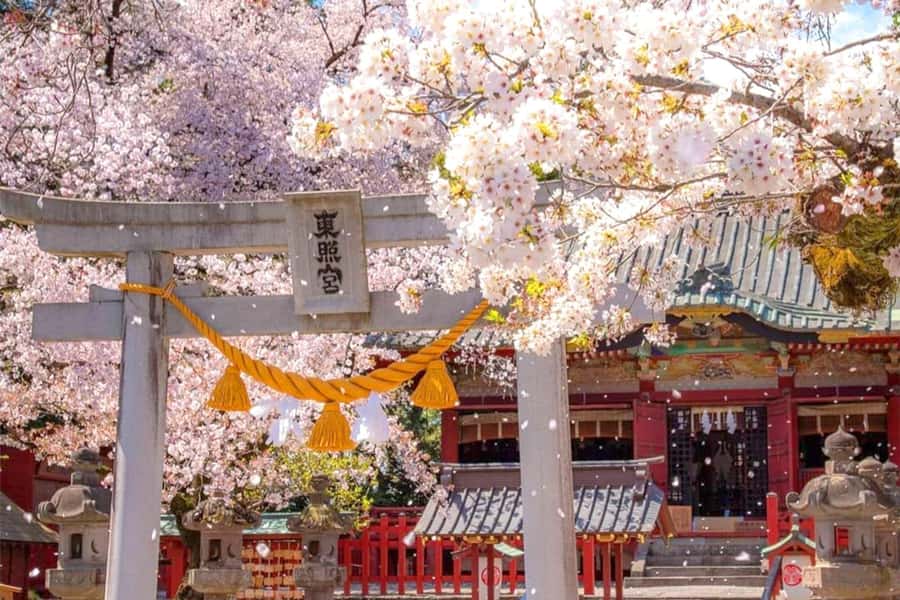 Tokyo: Nikko Day Tour Shrines, Lake Chūzenji & Kegon Falls - Lake Chūzenji and Kegon Falls: where the views fight the clock