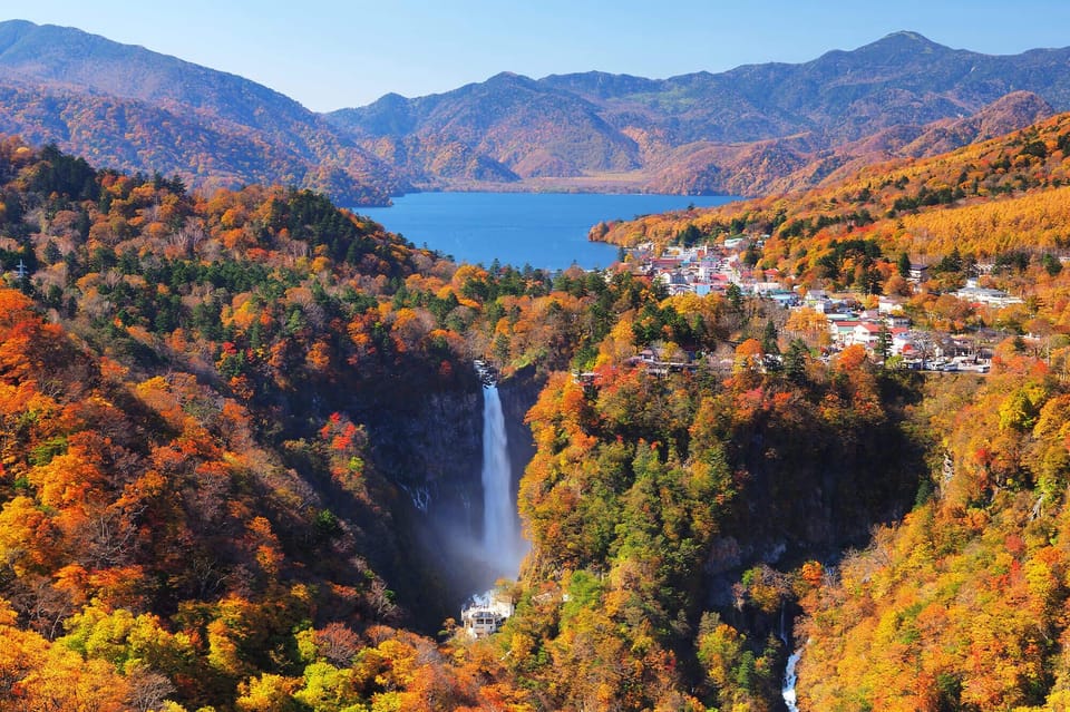 Tokyo: Nikko Day Tour with English Driver and Flexible … - Nikkō Toshogu Shrine: guided carvings, colors that mean something