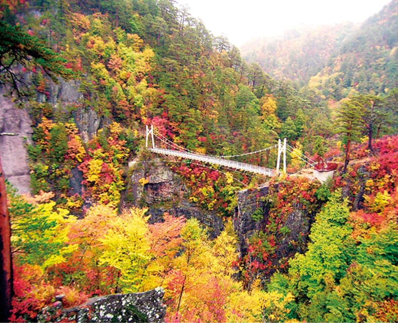Tokyo: Nikko Day Tour with English Driver and Flexible … - Tamozawa Imperial Villa Memorial Park: the quieter side of Nikko