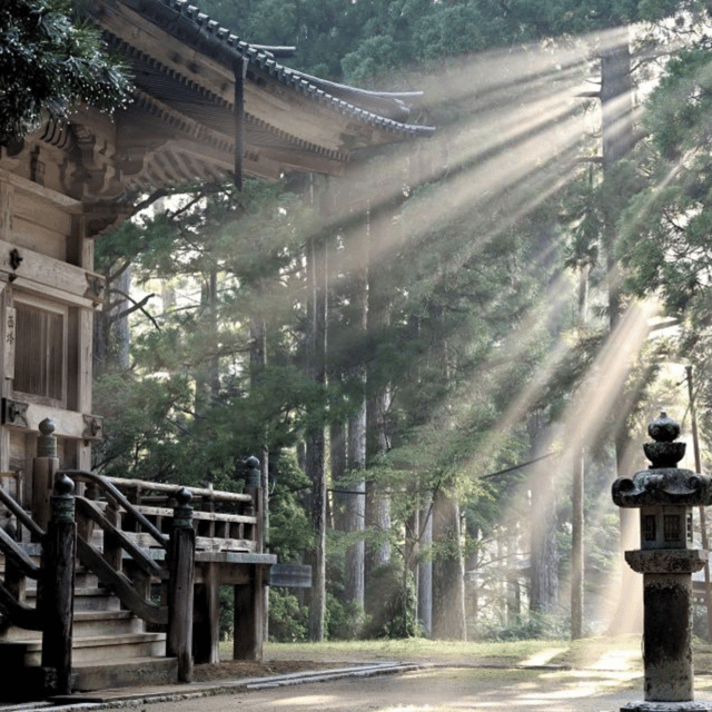 Tokyo: Nikko Kegon Falls Lake Chuzenji Toshogu Temple & More - Should you book this Nikko day trip?
