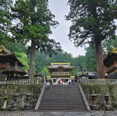 Tokyo: Nikko National Park Private Day Trip with Driver - Hotel Pickup in Tokyo: Car vs Hiace Van Comfort