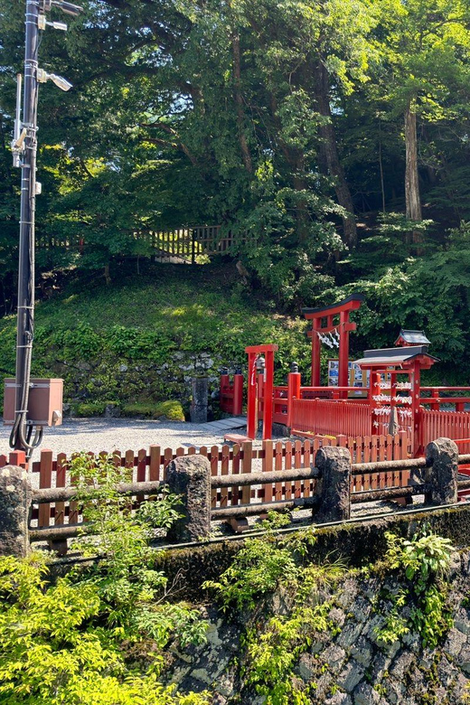 Tokyo: Nikko Private Day Tour - Private Car to Nikko: What This Day Trip Solves