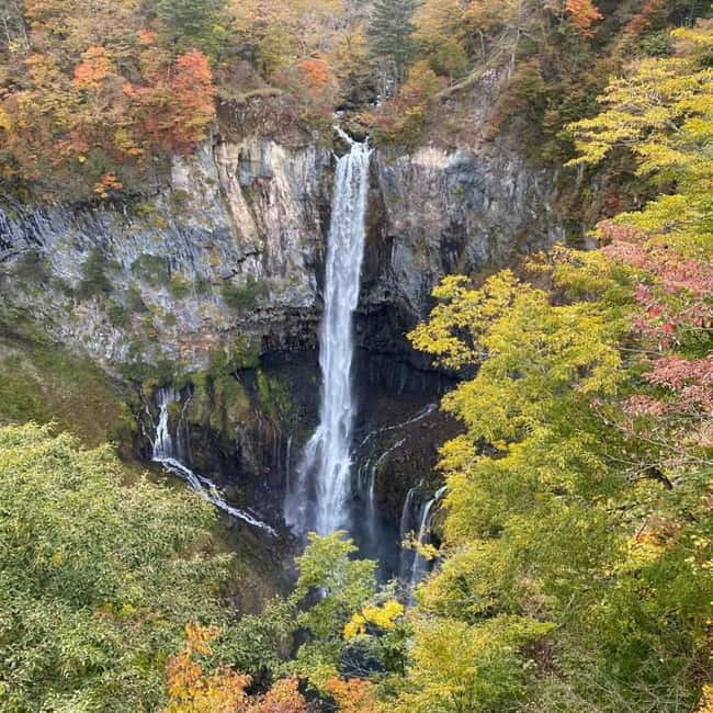 Tokyo: Nikko Private Day Tour Fully Customizeable Low Price - Quick take: what makes this Nikko day tour work
