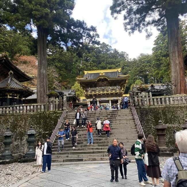 Tokyo: Nikko Private Day Tour Fully Customizeable Low Price - A Nikko day from Tokyo, without the stress of transfers