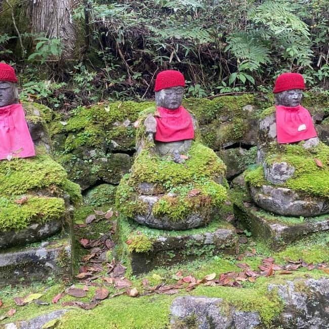 Tokyo: Nikko Private Day Tour Fully Customizeable Low Price - Price value: $391 per group up to 6, and what you’re paying for
