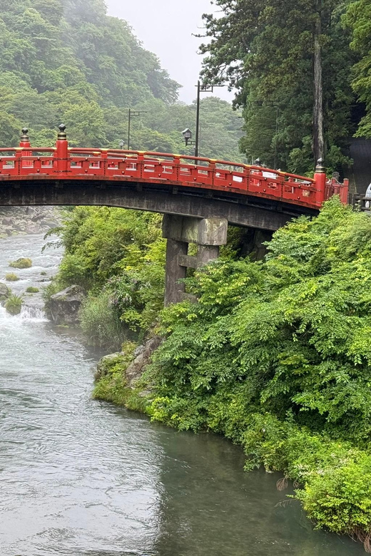 Tokyo: Nikko Private Day Tour With Guide - Nikko Toshogu: ornate shrine details that reward slow looking