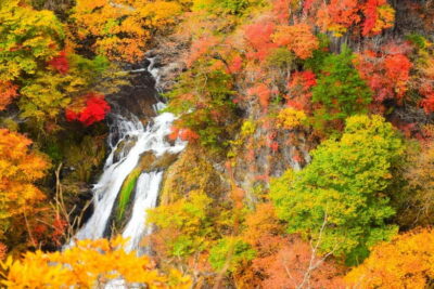 Tokyo: Nikko Private Sightseeing Day Trip with Driver - Shinkyo Bridge: a short stop with big spiritual color