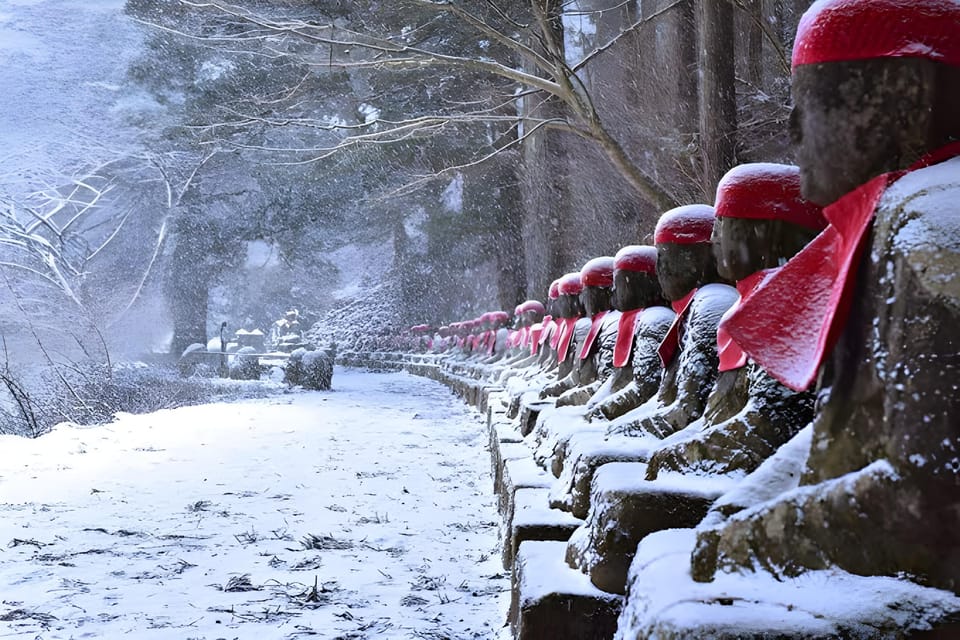 Tokyo: Nikko Private Sightseeing Day Trip with Driver - Kegon Falls: nearly 100 meters of misty wow