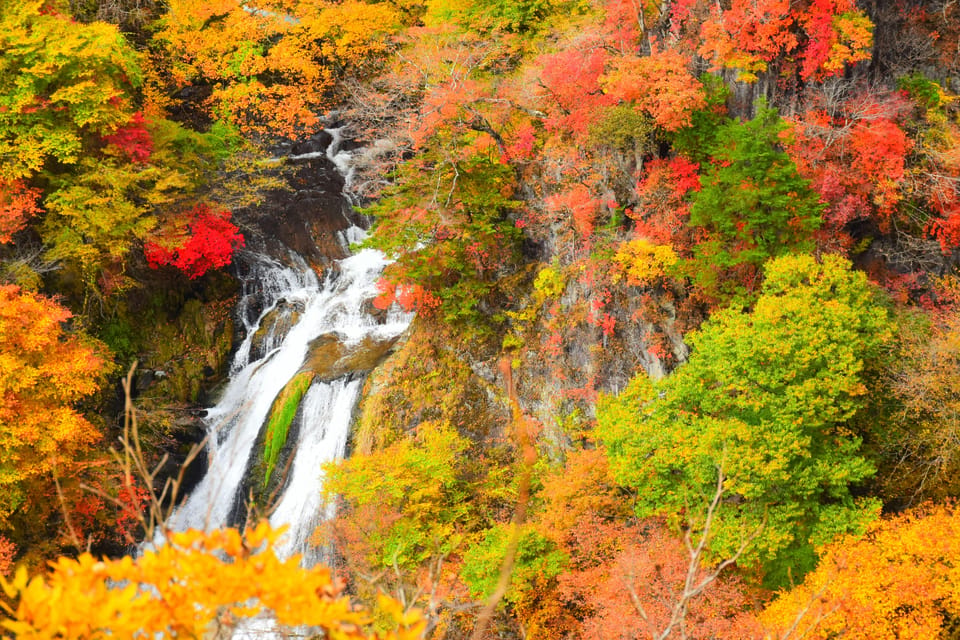 Tokyo: Nikko Private Sightseeing Day Trip with Driver - Lake Chūzenji: the calm counterpoint to rushing water