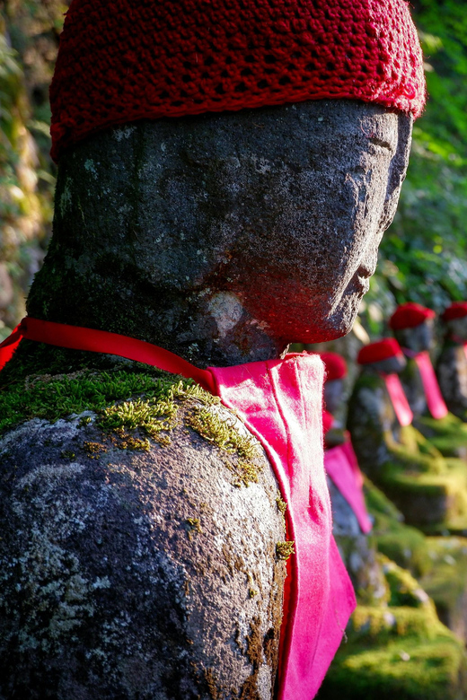 Tokyo: Nikko Private Sightseeing Day Trip with Driver - Where the yuba gozen lunch fits (and why it matters)