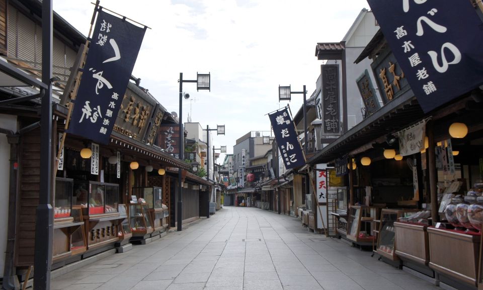 Tokyo: Off the Beaten Path Private Guided Tour - Yanaka Ginza and Old-Tokyo Backstreets: Charm With Real Local Life