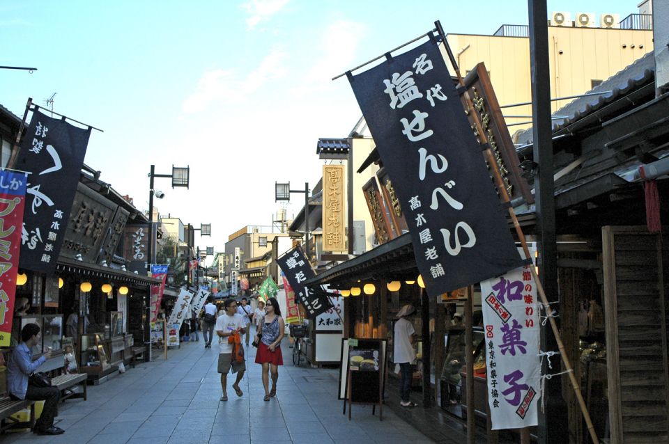 Tokyo: Off the Beaten Path Private Guided Tour - Nezu and Sendagi Options: When You Want More Quiet, Less Checklist