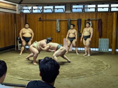 Tokyo: Personalized Half-day Tour - Ian James Kerr and Why a Live Guide Changes Everything