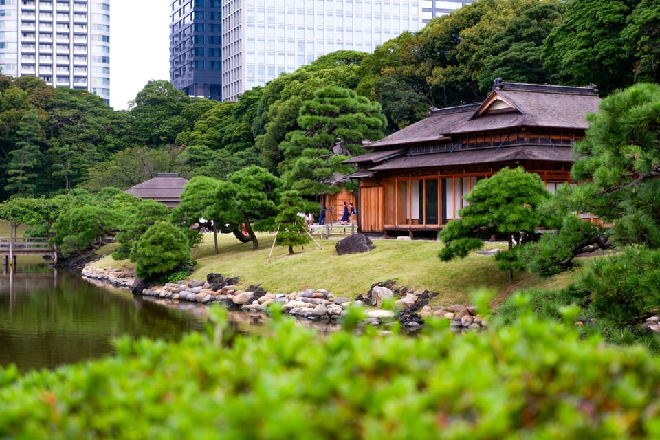 Tokyo: Personalized Private 6-Hour Tour - Shibuya: modern Tokyo in one short, well-timed visit