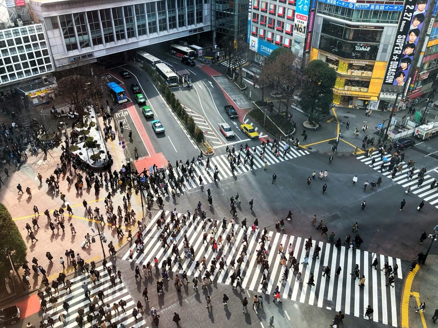 Tokyo: Personalized Private 6-Hour Tour - What the price gets you (and what it doesn’t) in real terms