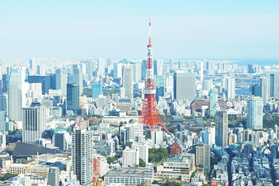 Tokyo: Personalized Private 6-Hour Tour - Meiji Shrine’s forest hush, then Harajuku’s fashion lanes