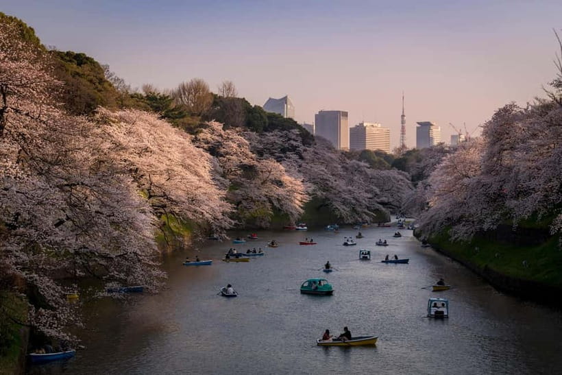 Tokyo: Photography Masterclass - Private Photo Lesson - Meeting Hachiko in Shibuya: Where the Photo Plan Begins