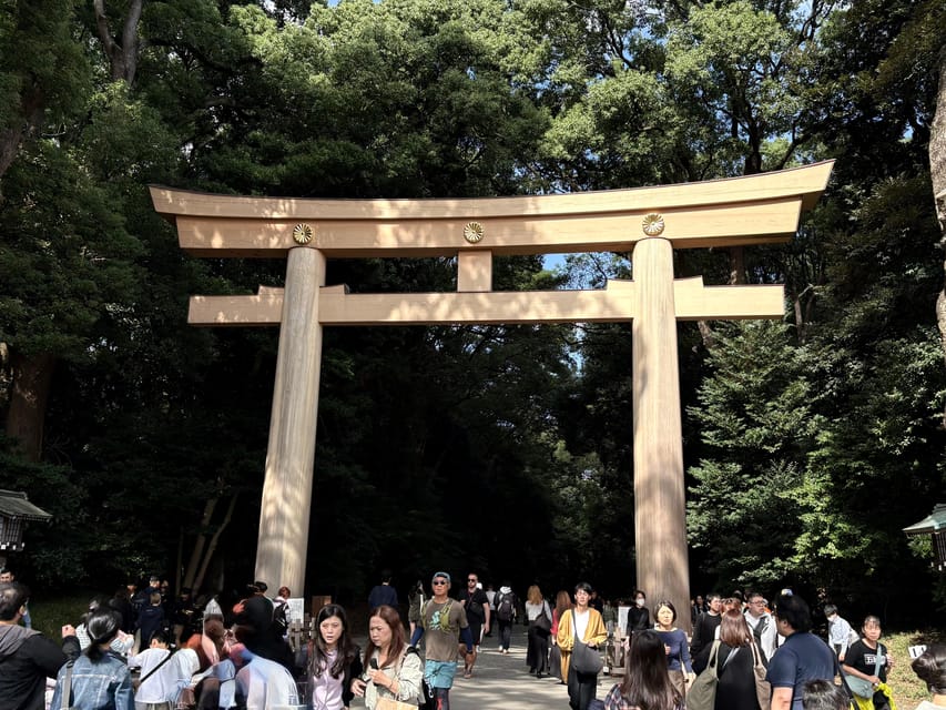 Tokyo: Private 1-Day Sightseeing Tour by Car with Guide - Private luxury car in Tokyo: the calmer way to see more