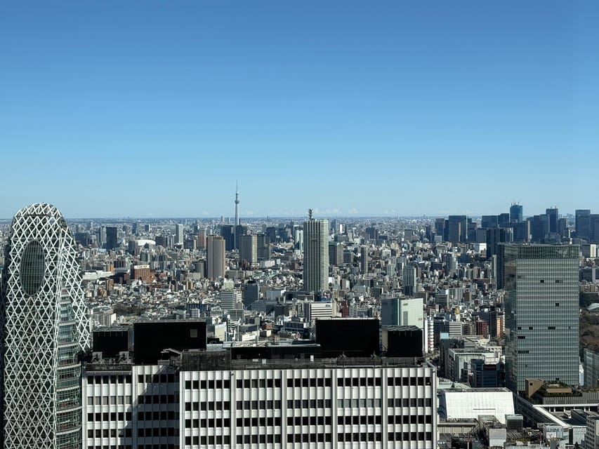 Tokyo: Private 1-Day Sightseeing Tour by Car with Guide - Cultural and historical context: what the guide adds beyond sightseeing