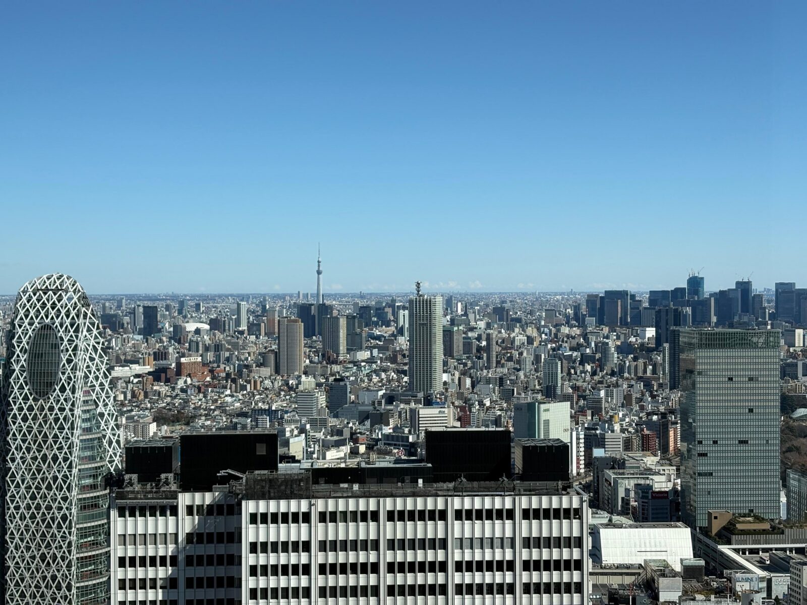 Tokyo: Private 1-Day Sightseeing Tour by Car with Guide - Lunch and downtime: plan for food without breaking the day