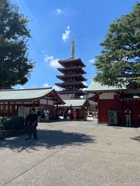 Tokyo: Private City Highlights Tour - Meiji Shrine’s Quiet Forest Reset