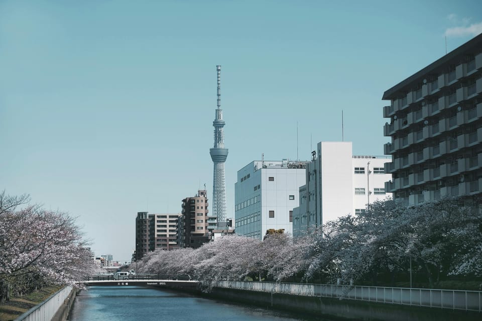 Tokyo: Private Customizable City Tour with Chauffeur - A Private Tokyo Day With a Chauffeur: What Your 9 Hours Really Buy