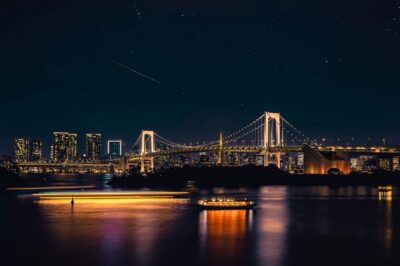 Tokyo: Private Customizable City Tour with Chauffeur - Tsukiji Outer Market: A Full Hour to Eat, Browse, and Get Your Bearings
