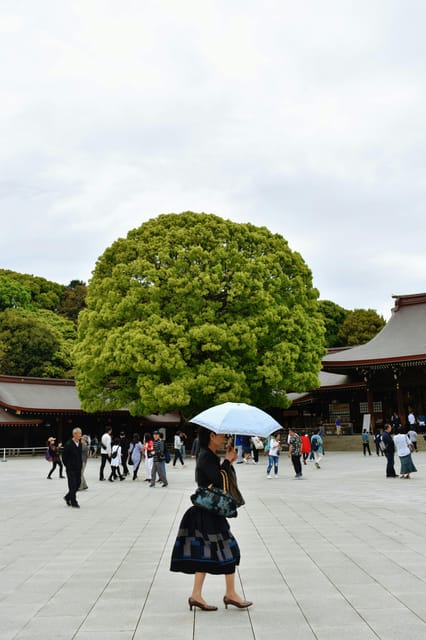 Tokyo: Private Customizable City Tour with Chauffeur - Odaiba and the Optional Toyosu–Odaiba Boat Ride