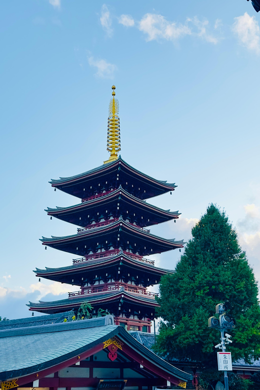 Tokyo: Private & Customizable Tour W/English Speaking Guide - A private Tokyo day that actually feels like your day