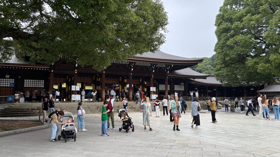 Tokyo Private Customizable Tour with a Local Guide - Key Points You’ll Actually Care About