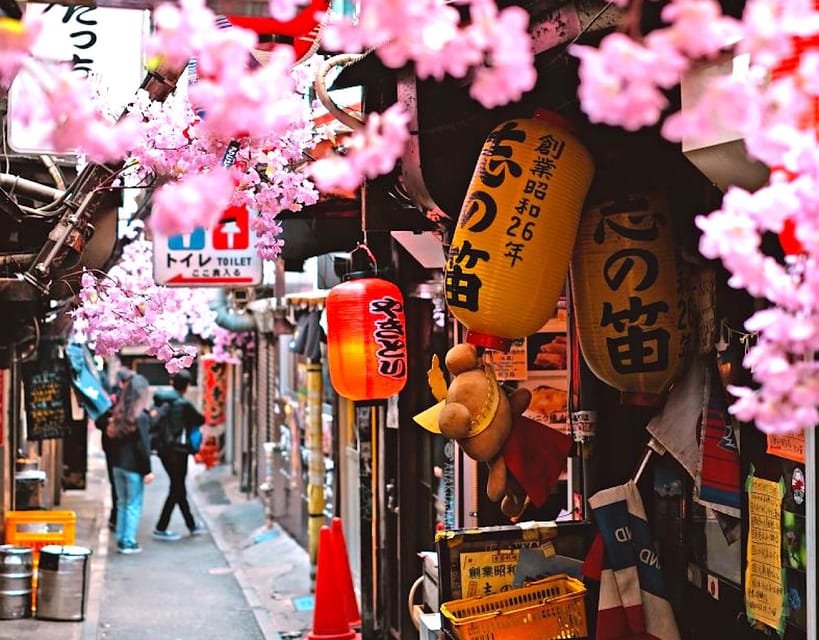 Tokyo Private Customizable Tour with a Local Guide - What to Pack for 10 Hours: Comfortable Shoes Win