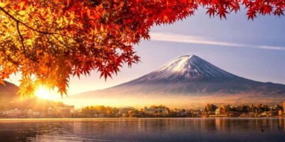 Tokyo: Private Day Tour to Mount Fuji with English Driver - Who should book this Mount Fuji and Hakone private day tour