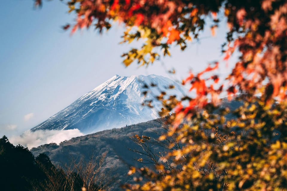 Tokyo: Private Day Trip to Mount Fuji and Hakone - Key Things That Make This Day Trip Special