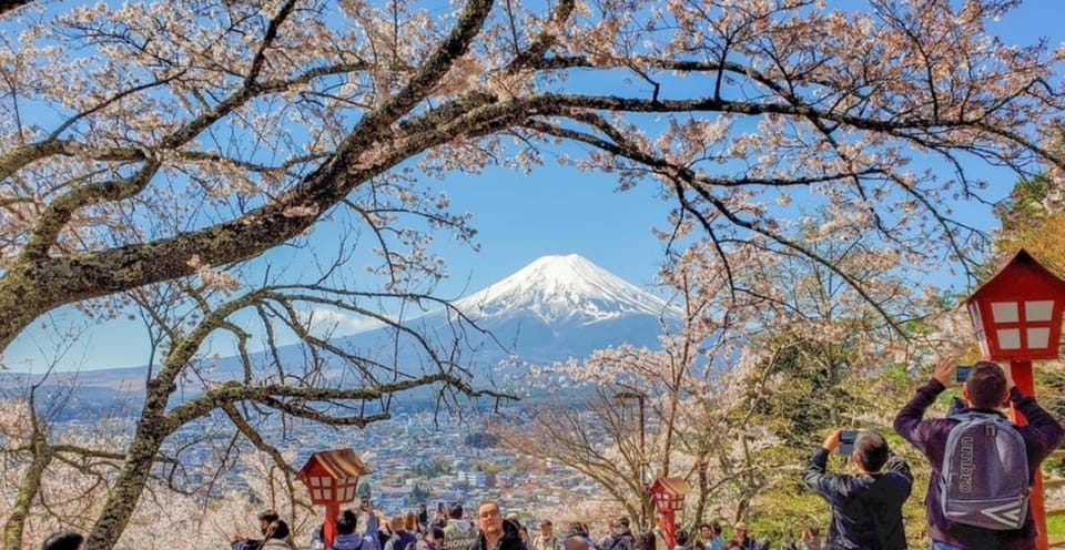 Tokyo: Private Day Trip to Mount Fuji and Hakone - Oshino Hakkai: Small Ponds, Big Calm (and a Short Time Window)