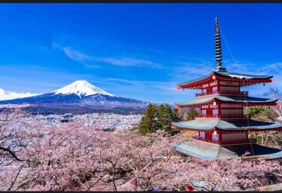 Tokyo: Private Day Trip to Mount Fuji and Hakone - Fuji 5th Station and Saiko Iyashi no Sato Nenba: High Altitude Meets Old-World Japan
