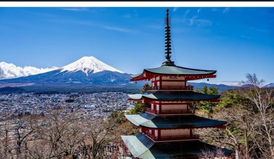 Tokyo: Private Day Trip to Mount Fuji and Hakone - Arakura Fuji Sengen Shrine and the Fuji View Loop