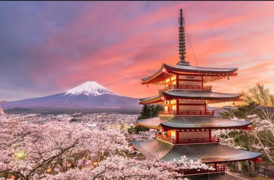 Tokyo: Private Day Trip to Mount Fuji and Hakone - Lake Kawaguchi and Oishi Park: Fuji by the Water