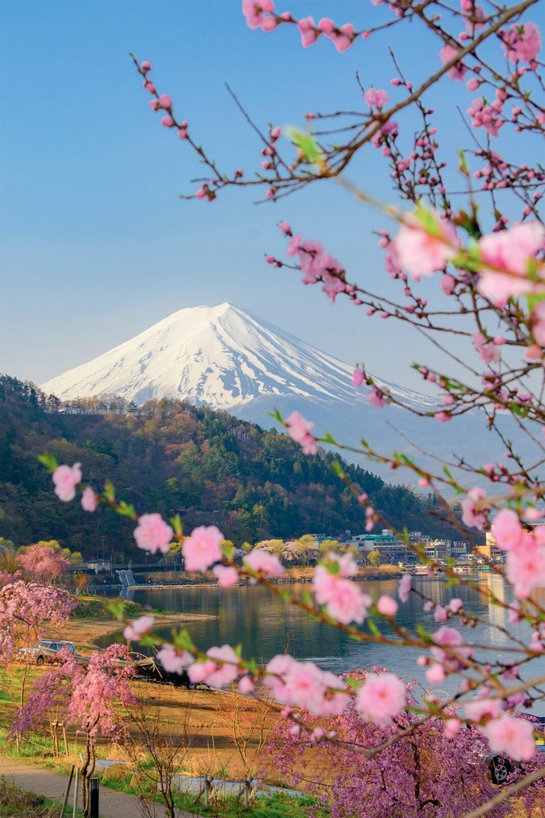 Tokyo: Private Day Trip to Mount Fuji and Hakone - Hakone Ropeway to Lake Ashi and Owakudani Valley: Volcano Views, Not Just Photos