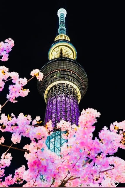 Tokyo Private Day Trip With English Speaking Driver - Rainbow Bridge and Odaiba: waterfront views and photo time