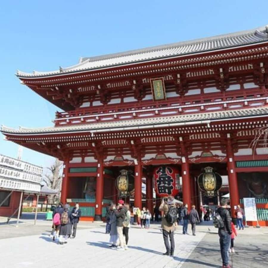 Tokyo: Private Instagramable Customised Tokyo City Day Tour - Key things that make this Tokyo day tour work
