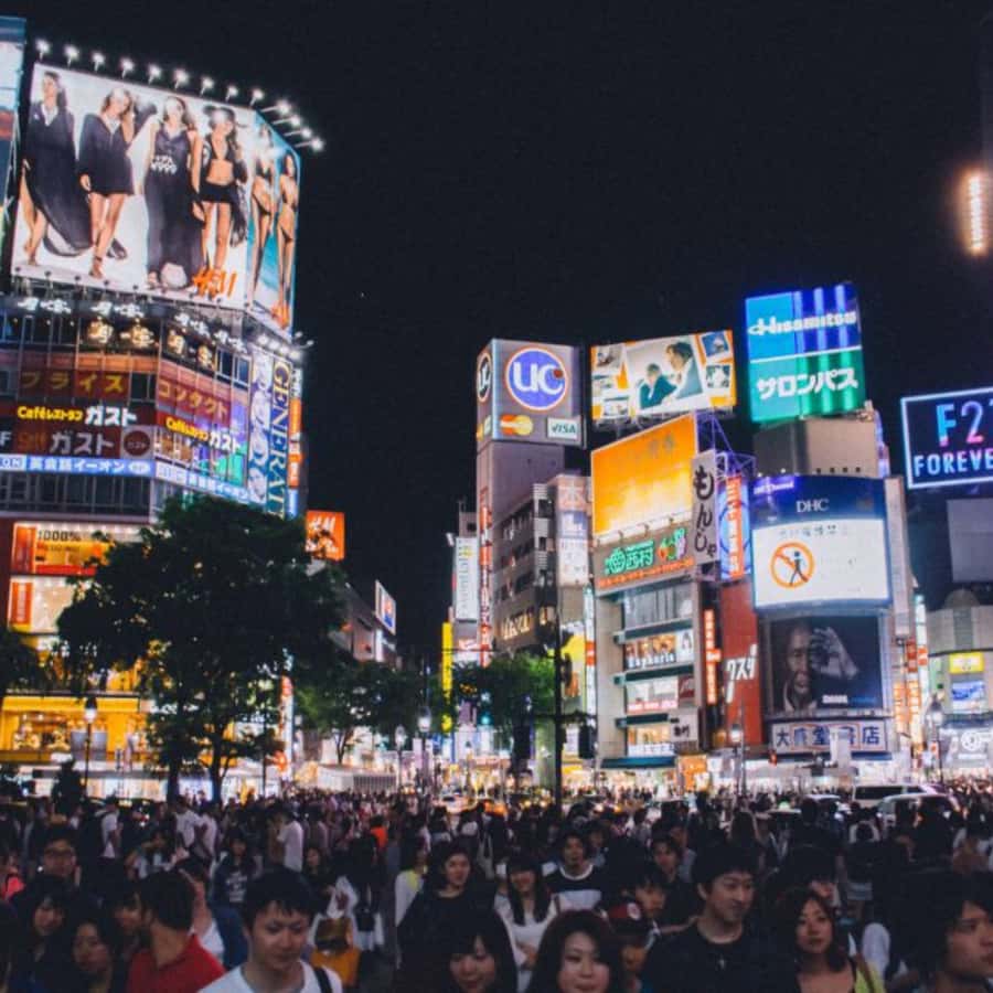 Tokyo: Private Instagramable Customised Tokyo City Day Tour - teamLab Planets TOKYO and other optional add-ons
