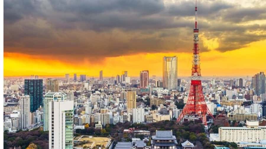 Tokyo: Private Instagramable Customised Tokyo City Day Tour - Morning start at Tsukiji: more than a photo stop
