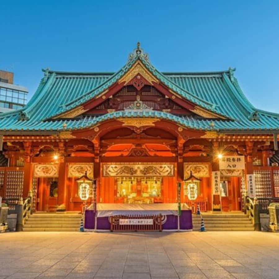 Tokyo: Private Instagramable Customised Tokyo City Day Tour - Price and value for a group up to six