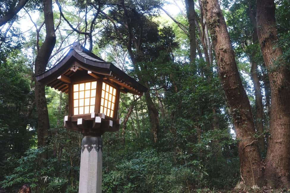 Tokyo: Private Meiji Shrine & Harajuku Highlights Tour - What to Wear and How to Handle the Crowds