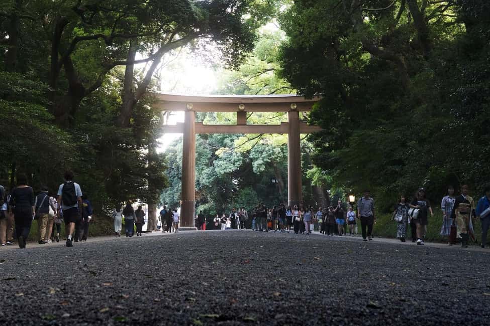 Tokyo: Private Meiji Shrine & Harajuku Highlights Tour - Itinerary Breakdown: Timing, Flow, and the Tradeoffs
