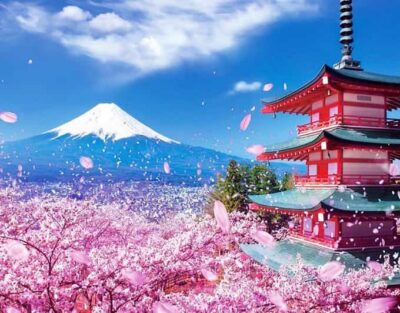 Tokyo: Private Mount Fuji and Hakone Day Trip with Guide - Getting picked up: Tokyo, Hakone, or Kawaguchi logistics